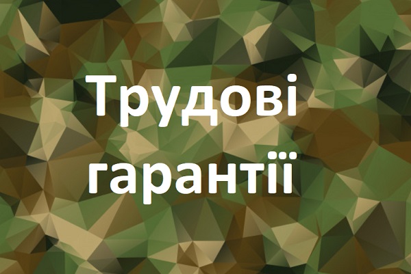 За працівниками, призваними на військову службу, зберігаються місце роботи, посада і середній заробіток — Держпраці