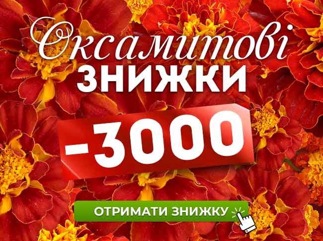 Ведення військового обліку на підприємстві