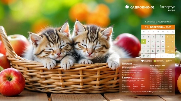Виробничий календар кадровика на вересень 2025