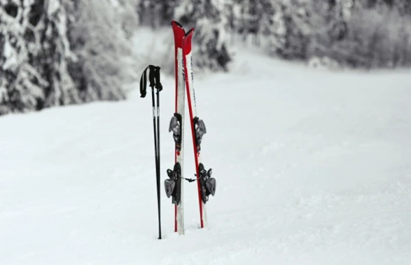 Працівник відмовляється йти у відпустку та вимагає надати йому грошову компенсацію: дії кадровика Працівник відмовляється йти у відпустку та вимагає надати йому грошову компенсацію: дії кадровика