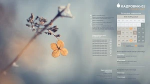 Виробничий календар: листопад 2020 Виробничий календар: листопад 2020