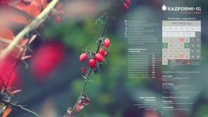 Виробничий календар: листопад 2020 Виробничий календар: листопад 2020